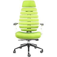 MERCURY STAR fishbones PDH SH06 gray / green - Office Chair