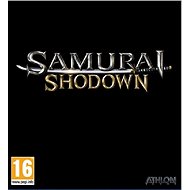 Samurai Showdown - Console Game