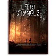 Life is Strange 2 - Console Game