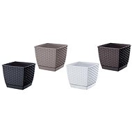 Prosperplast RATOLLA SQUARE 25x25x22cm - Flower Pot