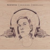 Sylvian David: Died In The Wool - Manafon Variations - LP Record