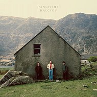 Kingfishr: Halcyon - LP Record