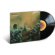 Steely Dan: Katy Lied - LP Record
