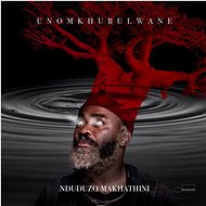 Makhathini Nduduzo: uNomkhubulwane - LP Record
