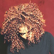 Jackson Janet: THE VELVET ROPE - LP Record