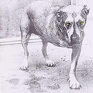 Alice in Chains - Music CD