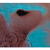 Pink Floyd: Meddle - Music CD