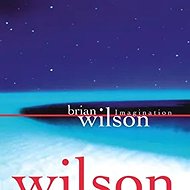 Wilson Brian: Imagination (RSD 2026) - LP Record