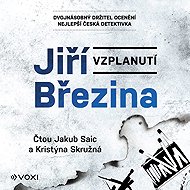 Březina Jiří: Flare - CD Audiobooks