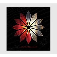 Archetypes Collide: Archetypes Collide - LP Record