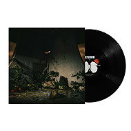 The Plot In You: The Plot In You - LP Record