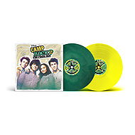 Soundtrack: Camp Rock 2: The Final Jam - LP Record