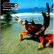 Prodigy: Fat Of The Land - Music CD