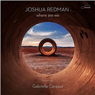 Redman Joshua: Where Are We - LP Record
