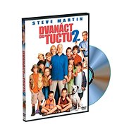 Twelve to a Dozen 2 - DVD Film