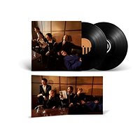 Giant Rooks: How Have You Been? - LP Record