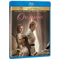 Fooled (2017) - Blu-ray Film