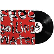DIIV: Frog In Boiling Water - LP Record