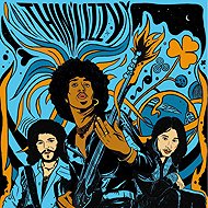 Thin Lizzy: The Acoustic Sessions - LP Record