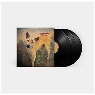 Sylvian David: Everything & Nothing - LP Record