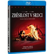 Frenzy in the heart - Blu-ray Film