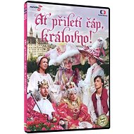 Let the stork fly, queen! DVD+CD - DVD - DVD Film
