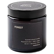Mulieres Scented candle in glass - forest 120 ml - Candle