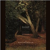 Matthew Herbert: State Between Us (3x LP) - LP Record