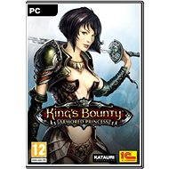 Kings Bounty: Armored Princess - PC-Spiel