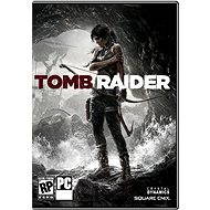 Tomb Raider: Survival Edition - PC Game