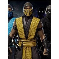Mortal Kombat 11 Klassic Arcade Ninja Skin Pack 1 (PC)  Steam DIGITAL - Videójáték kiegészítő