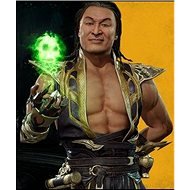 Mortal Kombat 11 Shang Tsung (PC)  Steam DIGITAL - Videójáték kiegészítő