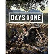 Days Gone - Key für Steam - PC-Spiel