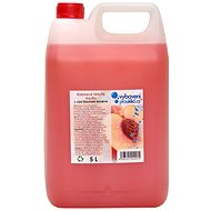 VYBAVENIPROUKLID.CZ Creamy Liquid Soap with the Scent of Juicy Peaches, 5l - Liquid Soap