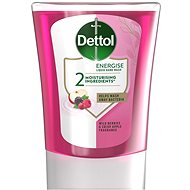 DETTOL Forest fruit filling for toothless. dispenser 250 ml - Liquid Soap