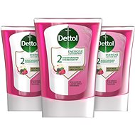 DETTOL Forest fruit filling for toothless. dispenser 3×250 ml - Liquid Soap