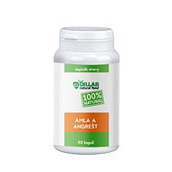 DR. LAB AMLA AND GOOSEBERRY 100% 90 CAPSULES - Dietary Supplement
