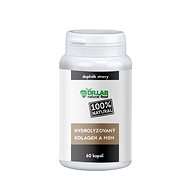 DR. LAB HYDROLYSED COLLAGEN AND MSM 100% 60 CAPSULES - Dietary Supplement