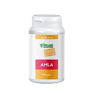 DR. LAB AMLA 100% 60 CAPSULES - Dietary Supplement