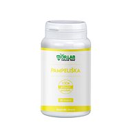DR. LAB DANDELION 100% 60 CAPSULES - Dietary Supplement