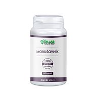 DR. LAB MULLEIN 100% 60 CAPSULES - Dietary Supplement