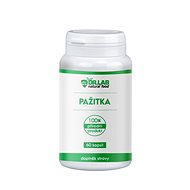 DR. LAB CHIVES 100% 60 CAPSULES - Dietary Supplement