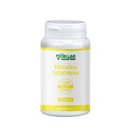 DR. LAB ST. JOHN'S WORT 100% 60 CAPSULES - Dietary Supplement