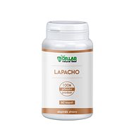 DR. LAB LAPACHO 100% 60 CAPSULES - Dietary Supplement