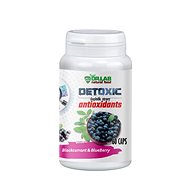 DR. LAB DETOXIC ANTIOXIDANTS 60 CAPSULES - Dietary Supplement