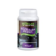 DR. LAB SLIM CHOKEBERRY 90 CAPSULES - Dietary Supplement