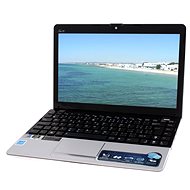 ASUS EEE PC 1215N ION2 silver - Laptop