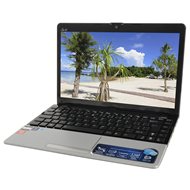 ASUS EEE PC 1215B silver - Laptop