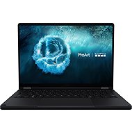 ASUS ProArt PX13 HN7306EAC-OLED041X all-metal GoPro edition - Laptop