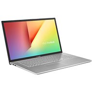 Asus Vivobook 17 M712DA-BX268T Transparent Silver - Laptop